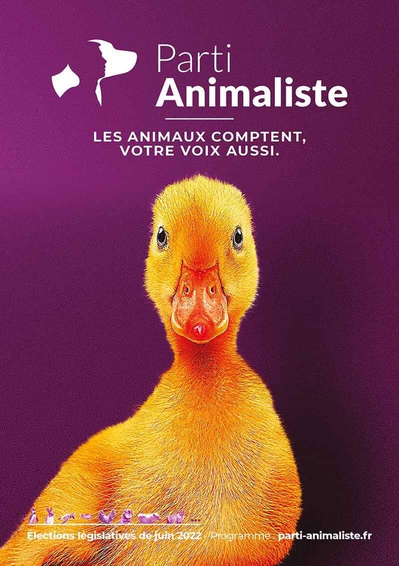 Affiche du Parti Animaliste en 2022. Un Canard