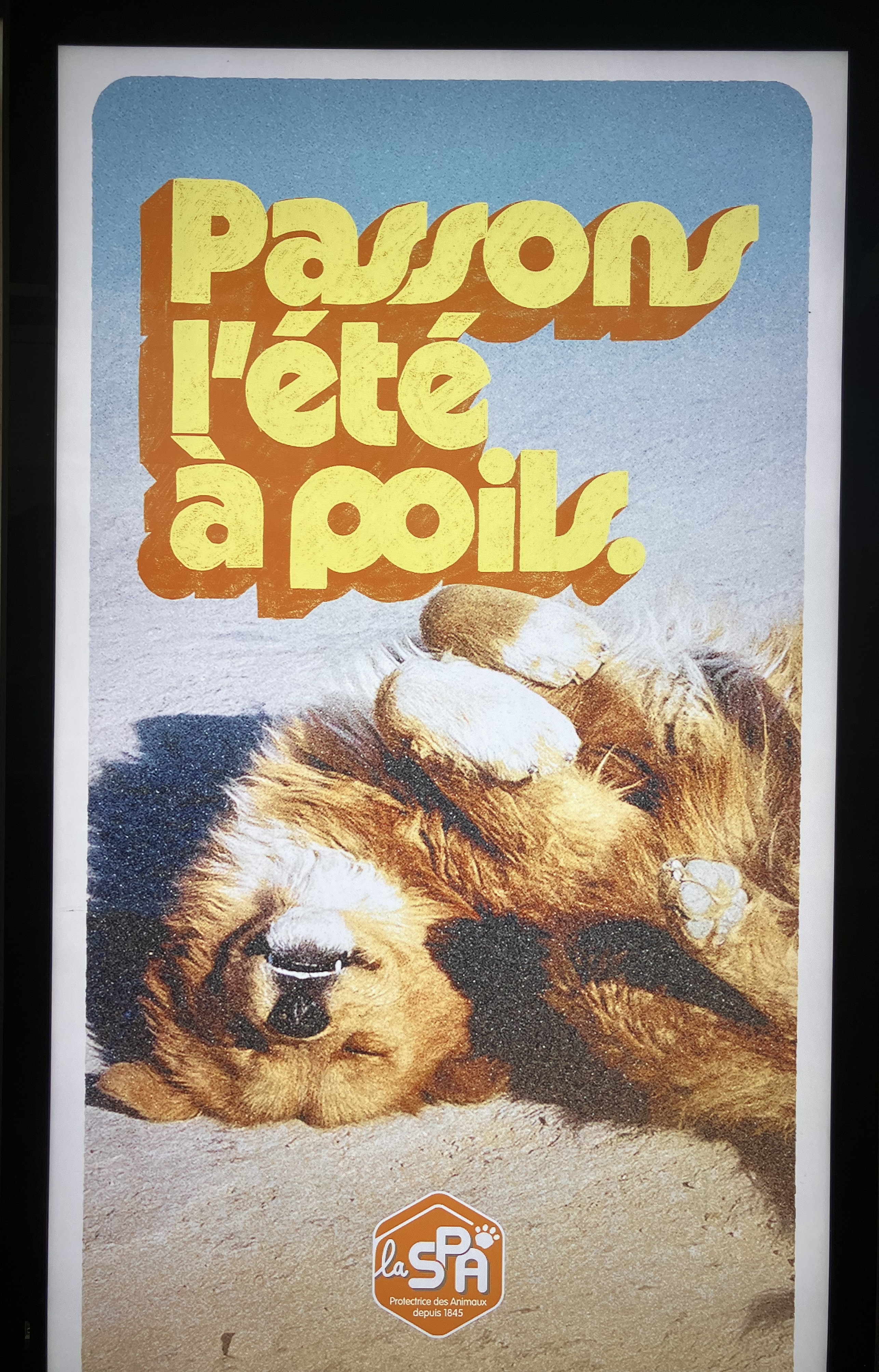 publicité de la SPA